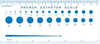 French Catheter Definition