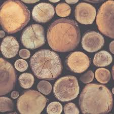 Stacked Chopped Logs Wallpaper 263212
