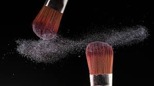 brush for makeup artist or beauty ger
