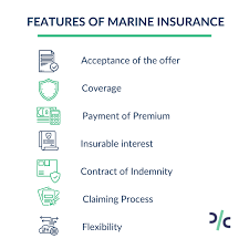 15 Types Of Marine Insurance Policies gambar png