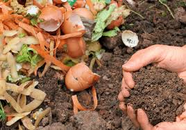are wood chips good for compost