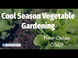 Cool Season Vegetable Gardening In