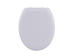 Oval Shaped Toilet Seat China Factory