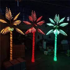 Tiara Palm Tree Sizes 10ft 4in