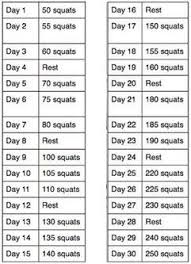 30 Day Squat Challenge Rvm06s Blog