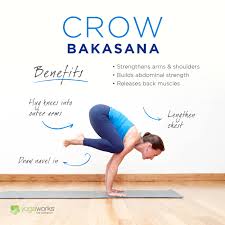 Download 498 bakasana stock photos for free or amazingly low rates! Bakasana Breakdown Crow Pose Essentials