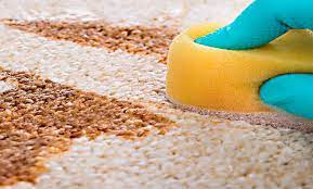 Clean carpet stains with homemade solutions - ویرگول