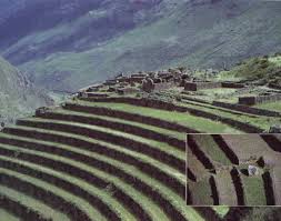 Inca Agriculture My Webpage Of The Maya And The Incas