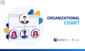 organizational chart what it is