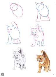 Lees over kat tekenen makkelijk verzamelingmaar zie ook kat tekenen makkelijk in stappen ook. Een Kat Tekenen Overig Zoogdieren Dieren Tekenen Realistisch Tekenen Tekenen Goed Leren Tekenen Jouwweb Nl