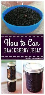 Bring to a boil and simmer for 5 minutes. How To Can Blackberry Jelly Homemade Jelly Jelly Recipes Blackberry Jelly