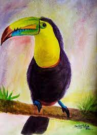 Colourful Bird Artistic Moves