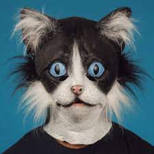 latex black white cat mask kitten