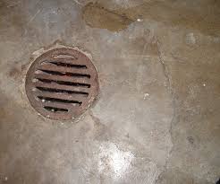 Backed Up Drain Or Sewer Drainworks