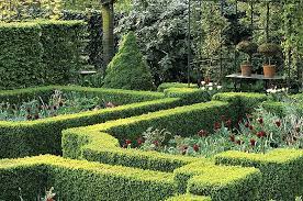 Knot Garden Design With Variety Of Hedges