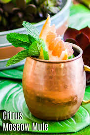 citrus moscow mule home made interest