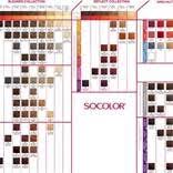Socolor Color Chart Online In 2019 Matrix Hair Color