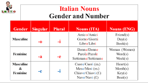 italian nouns gender and number part