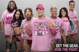 Image result for wwe superstar male and female