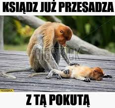 humor #kosciol #nosaczsundajski #czarnyhumor #byloaledobre (@grzesiek23Gda)  :: Wykop.pl