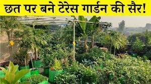 vegetable garden tour video in hindi