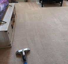 steam cleaning carpet shooing