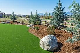 Installing artificial grass on dirt can not only make your landscape more attractive, but can also give your pets and these are the main reasons why people are switching to artificial turfs. Artificial Turf And Tree Roots Problems Caused Using Artificial Grass Around Trees