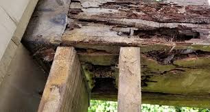 wood rot repair a step by step guide