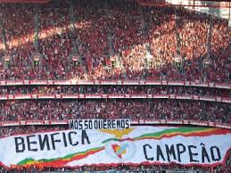 Resultado de imagem para Benfica campeÃ£o