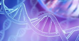 what is dna medlineplus genetics