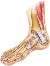 common running ankle injuries