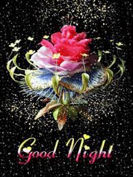 Good Night GIFs | Good night gif, Good night love pictures, Good night  flowers
