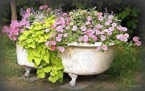 Container Garden Ideas With Old Bathtub