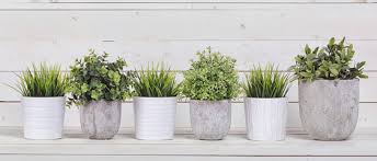 Image result for free metal pots for plant stock photos