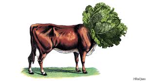 Fake Moos Plant Based Meat Could Create A Radically