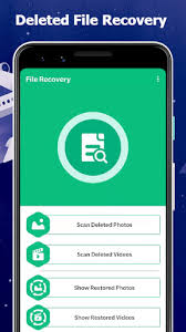 This option will come in handy when you unfortunately delete your photos and want to get them back. Deleted File Recovery Recover Deleted Files Apk Download For Android