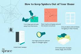 get rid of spiders in your home
