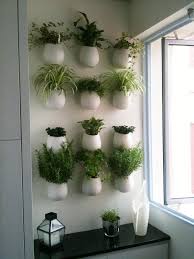 kitchen herb wall herb garden in