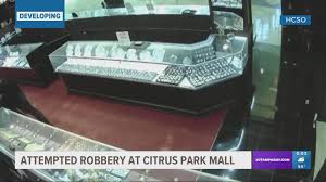 citrus park mall robbery 100k worth