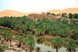 Результаты поиска для taghit