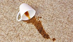 rug stain removal service in edmonton