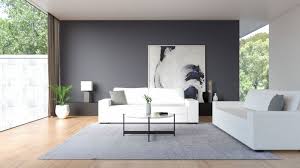 What Color Wall Goes With White Couch