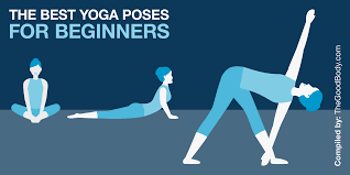 the best yoga poses for beginners 18