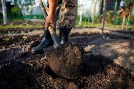 Gardener Digging In The Garden Soil