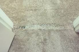 carpet damage repair or replace yep