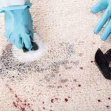 fort mcmurray carpet cleaning updated