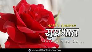 Sunday is the most common and festive day of the week that we all look forward to. Hindi Good Morning Quotes Wishes For Whatsapp Life Red Rose Lovely Flowers 1400x788 Download Hd Wallpaper Wallpapertip