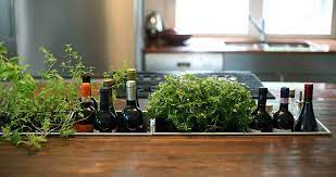12 Kitchens With Small Herb Gardens