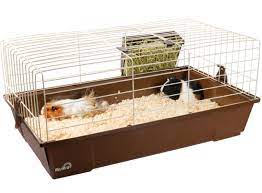 guinea pig cages setup