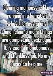 Cleaning My House Is Like Running In A Hamster Wheel For